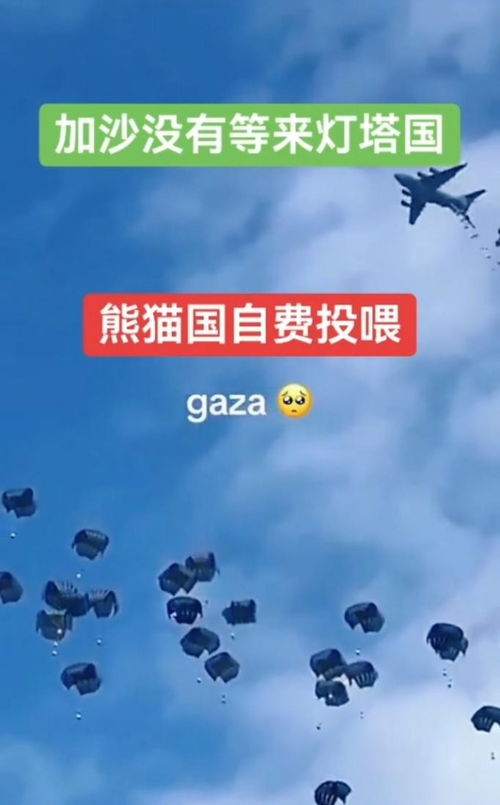 中国运-20在加沙空投物资了吗