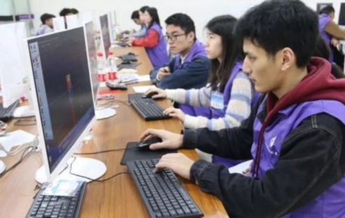 金山区专业型电子商务