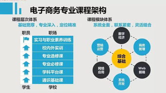 电子商务专业需要做什么