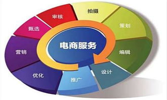 南京单招有电子商务专业