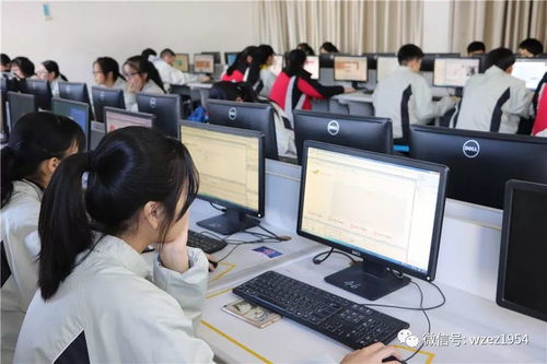 乐职电子商务专业怎么样